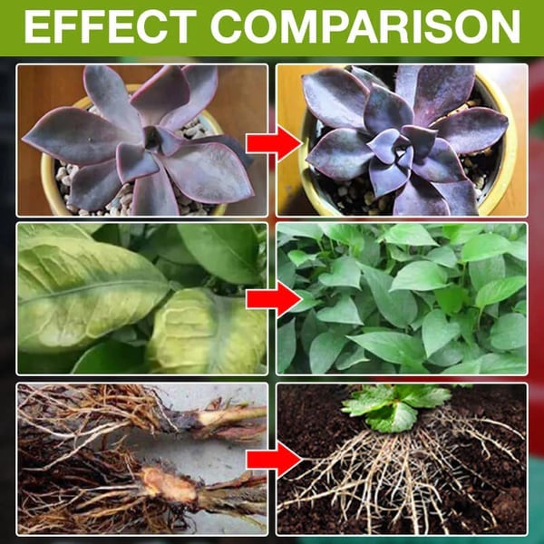 🌿 Plant Food Supplement for Greener Leaves, Blooms & Garden Care