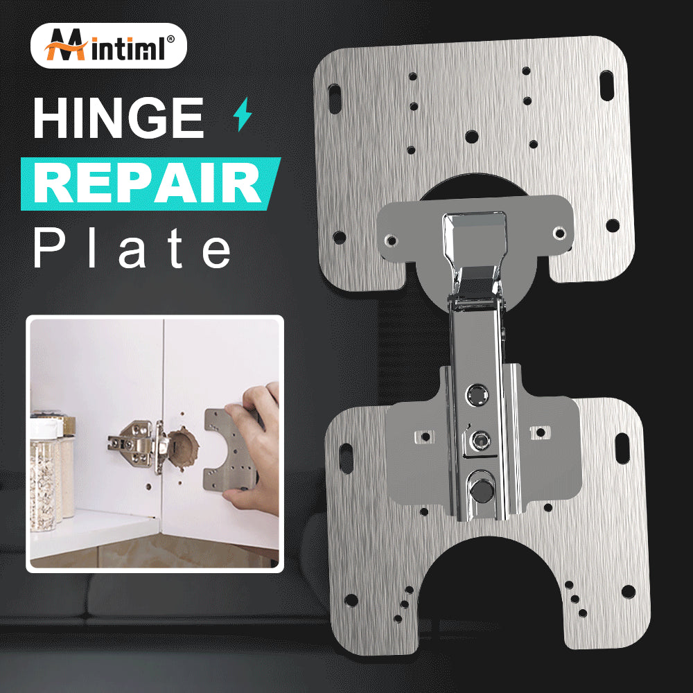 Hinge Repair Plate