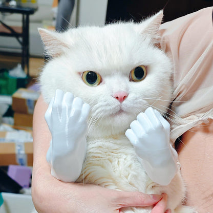 Disfraz de Brazos Musculosos para Gatos