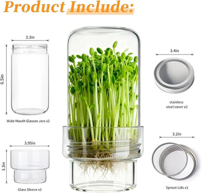 Updated Sprouting Kit - Sprouting Jar Kits