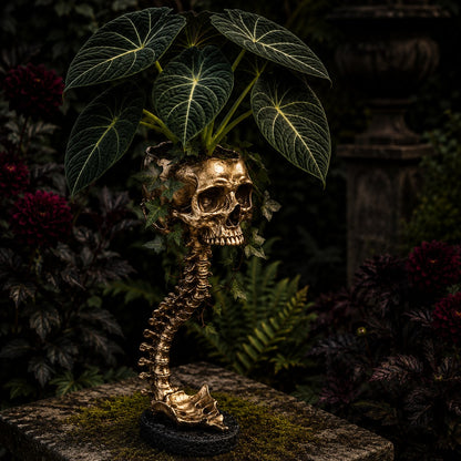 💀 🌿 Sculptured Skull Flowerpot