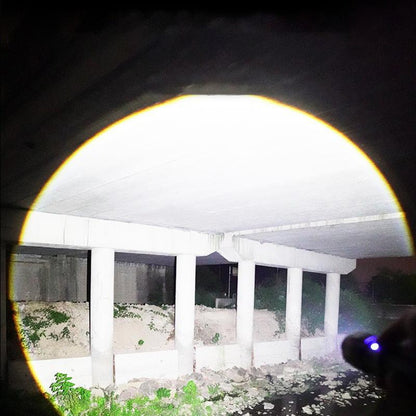 Flashlight with adjustable light range