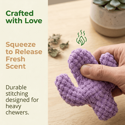 🔥5pcHandmade Soft Cactus Kitten Chew Toys with Natural Catnip