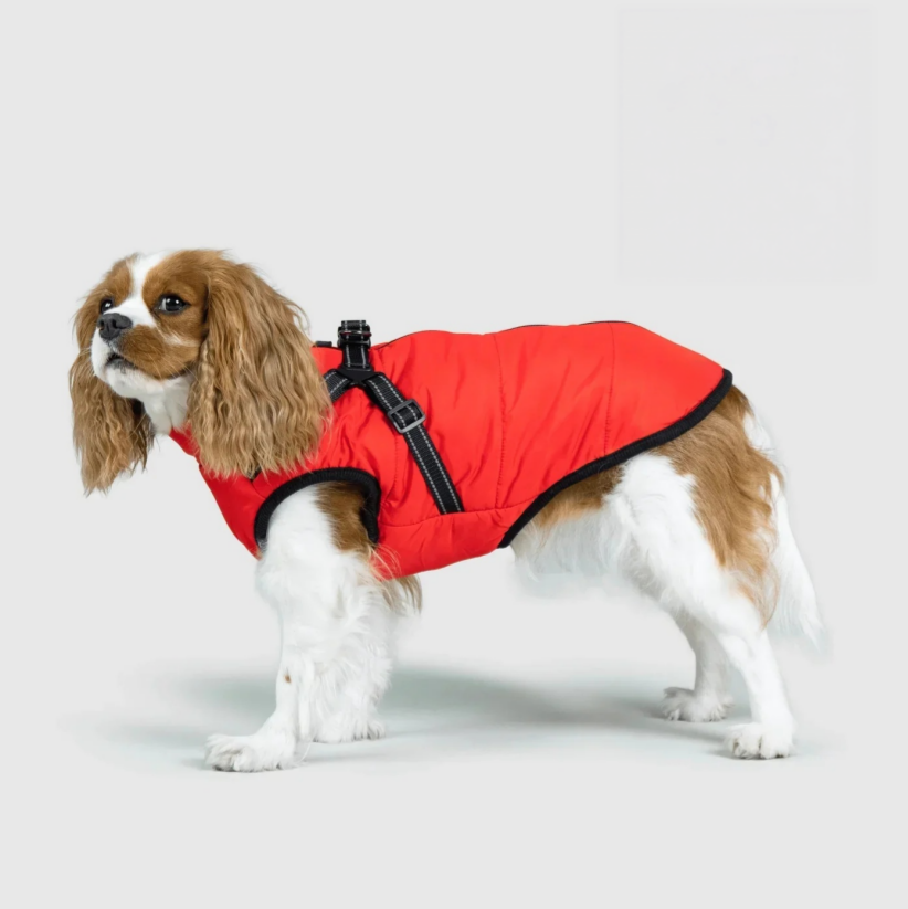 Manteau 3 en 1 pour chien Kimenya