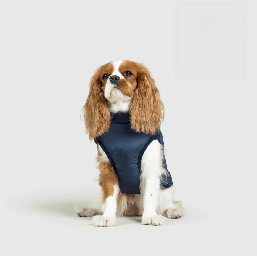 Manteau 3 en 1 pour chien Kimenya