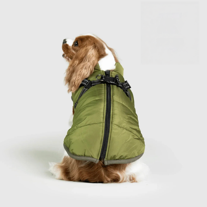 Manteau 3 en 1 pour chien Kimenya