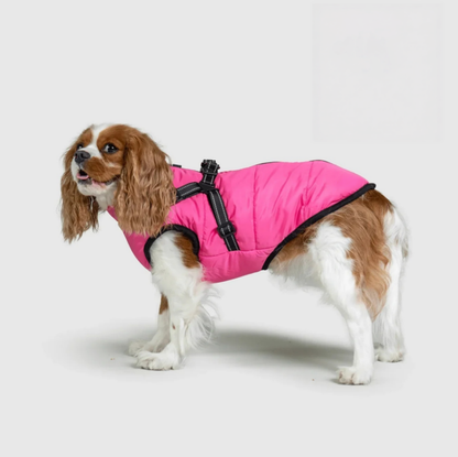 Manteau 3 en 1 pour chien Kimenya