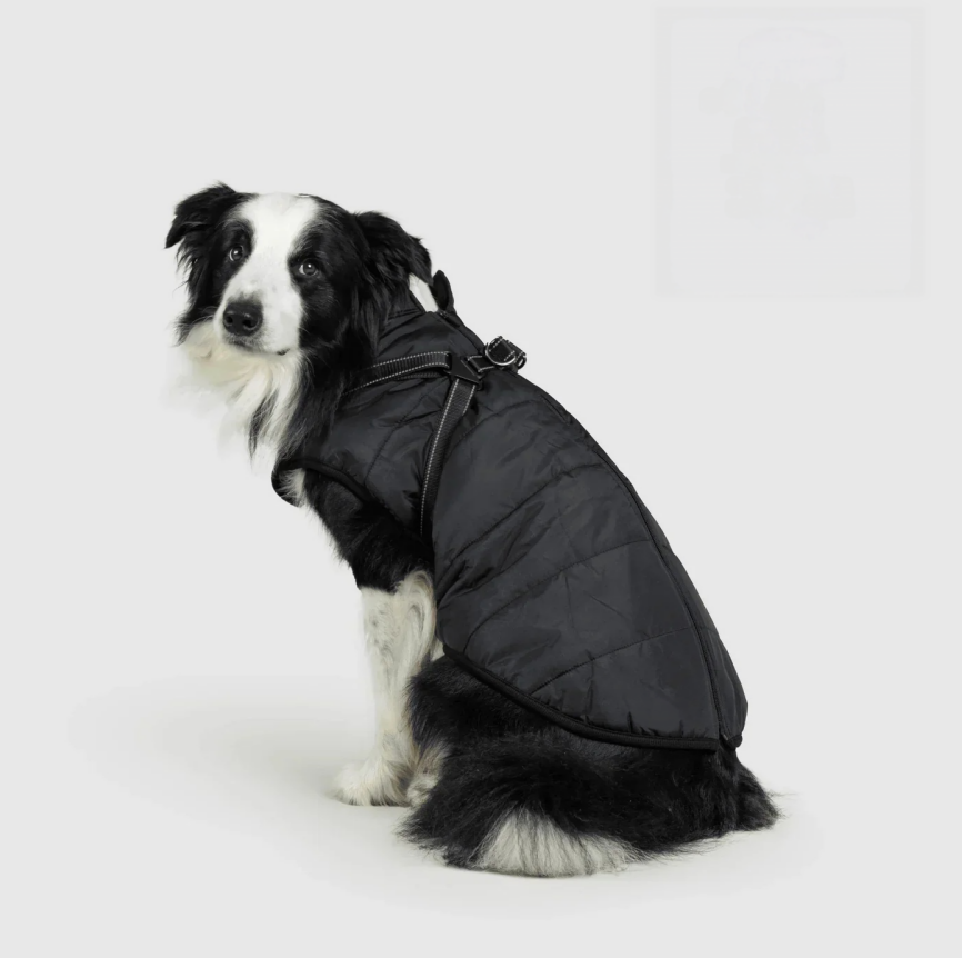 Manteau 3 en 1 pour chien Kimenya