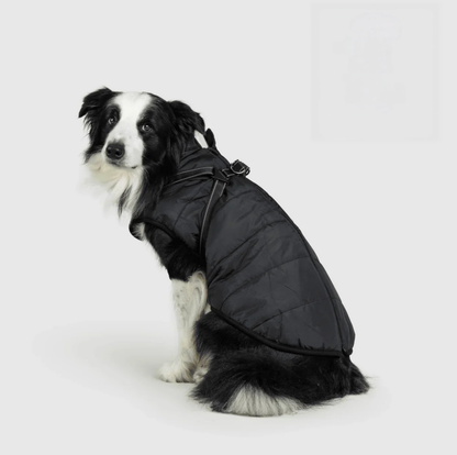 Manteau 3 en 1 pour chien Kimenya