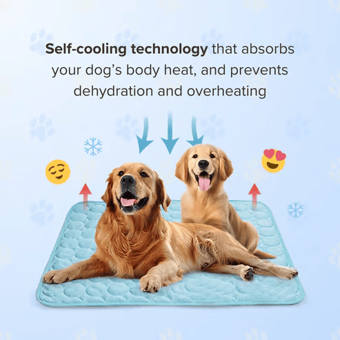 🧊Dog Cooling Mat (4x more effective)