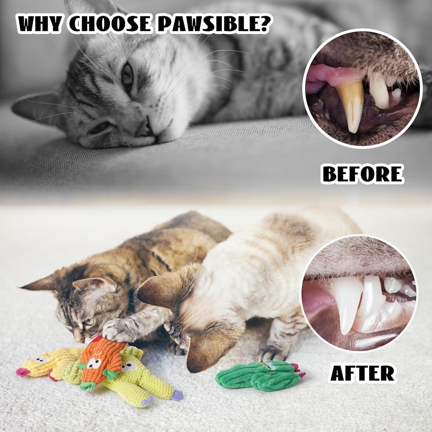 5-Pack Cactus Catnip Cat Toys – Organic Interactive Plush Toys for Indoor Cats