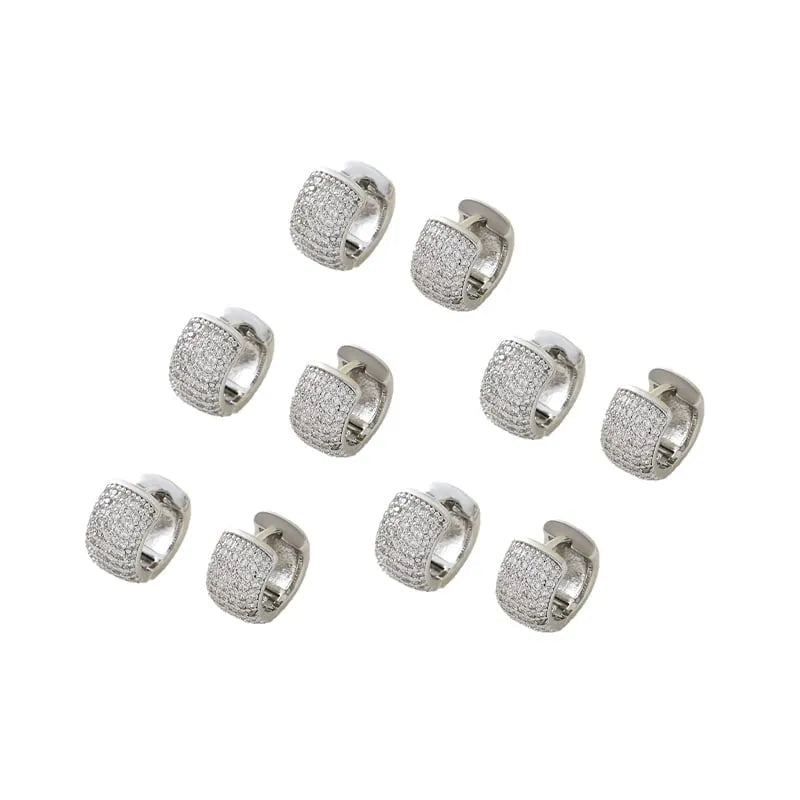 Zircon-Studded Men's Earrings