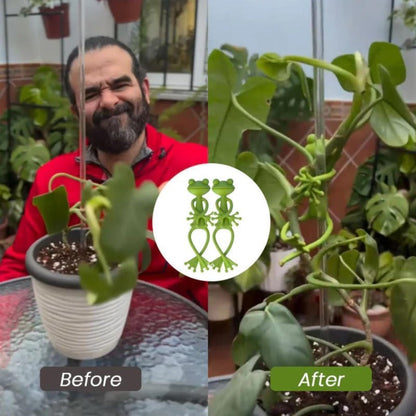 Soportes decorativos para plantas con forma de rana