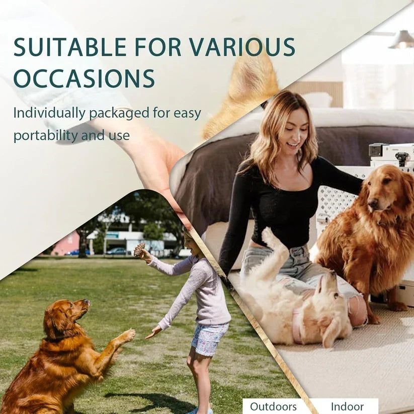 🥳2026 HOT SALE🥳💞50K+ SOLD! 🐾🧤 Rinse-Free Pet Glove Wipes – five-finger design cleans face, paws & underbelly. Deodorizing, antibacterial & hypoallergenic. No bath needed! ✨✅