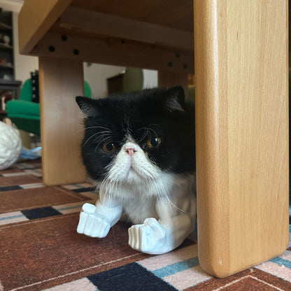 Disfraz de Brazos Musculosos para Gatos