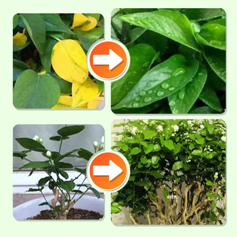 🌱 Long-lasting plant food sticks – balanced NPK for roots, leaves & blooms!  🌿✨