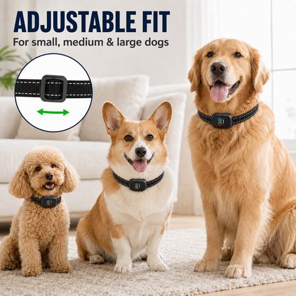 🔥HOT SALE 55% OFF🔥Smart Anti-Bark Collar for Dogs
