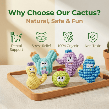 🔥5pcHandmade Soft Cactus Kitten Chew Toys with Natural Catnip