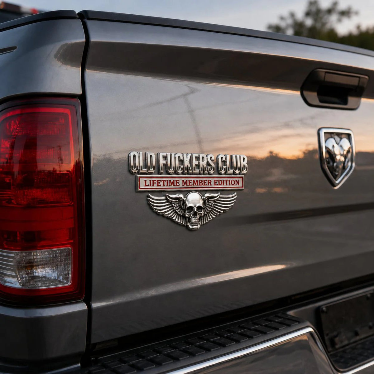 💀  Chrome Peel-and-Stick Badge for Trucks, SUVs, Toolboxes & Garages 😎