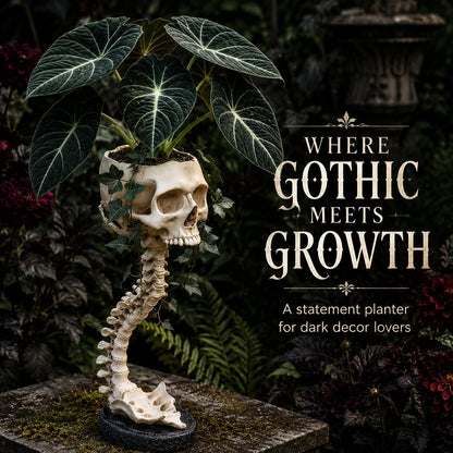 💀 🌿 Sculptured Skull Flowerpot