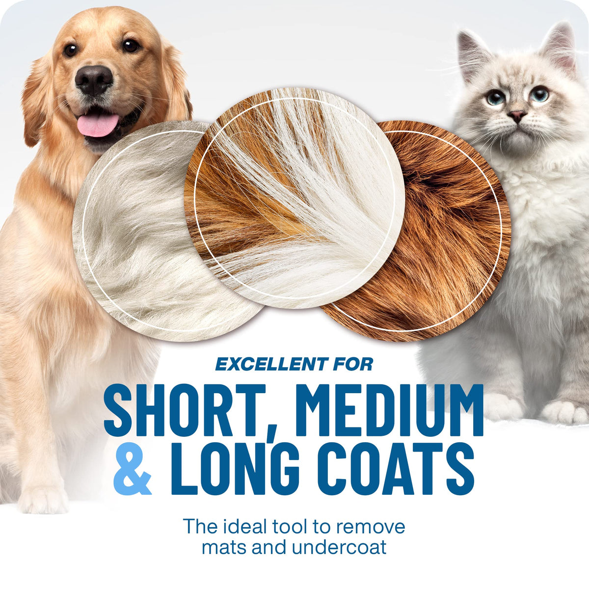 ⏰🔥 Professional Pet Shedding Comb – Effectively Removes Loose Hair 🐾✅