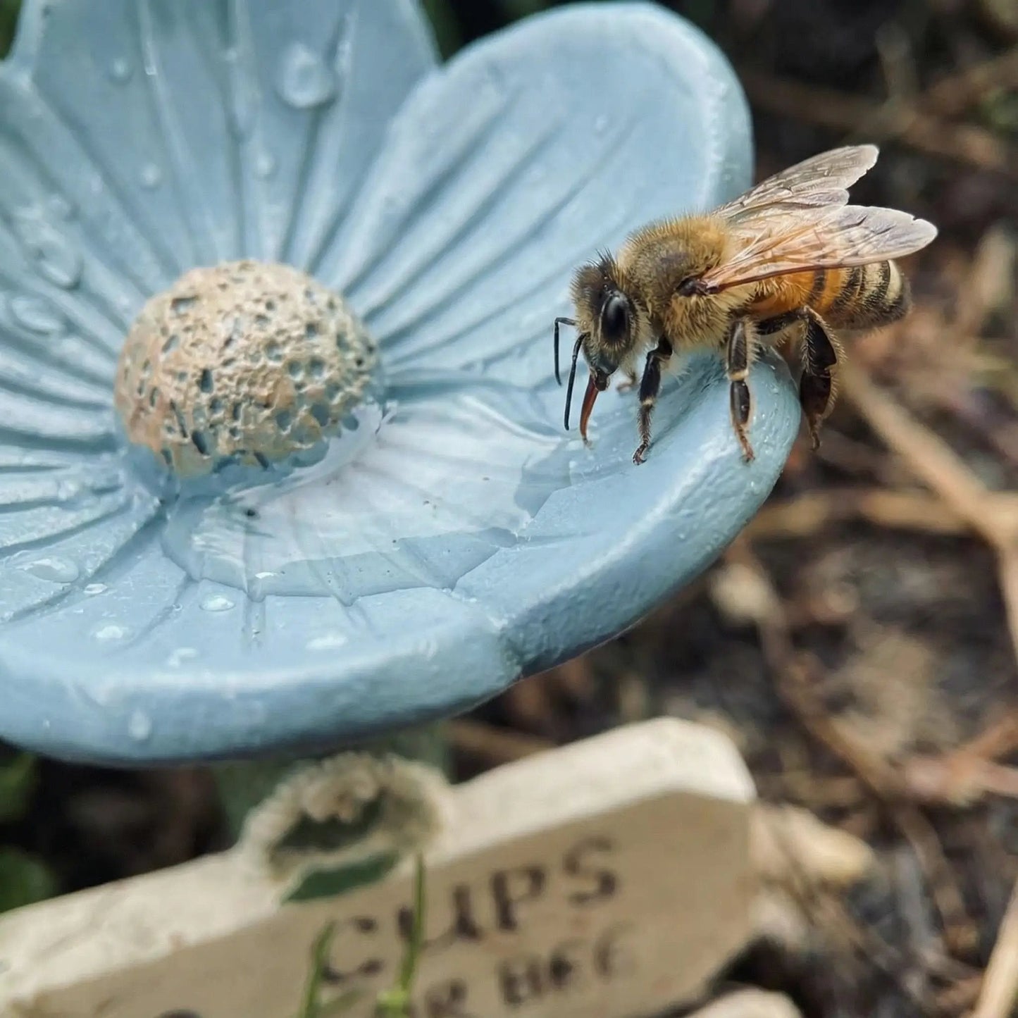 🐝Estación de agua para abejas con forma de flor💧