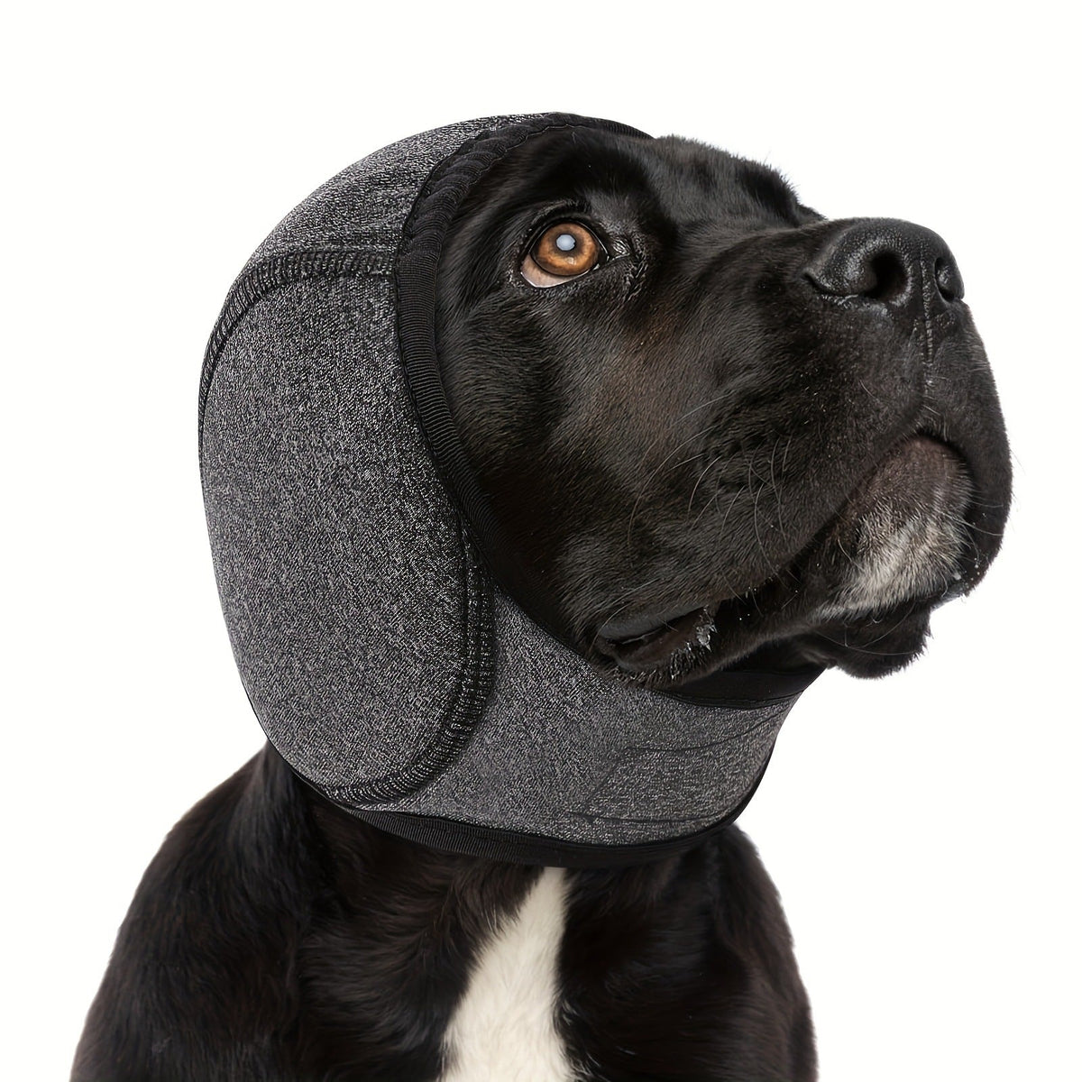 Noise Cancelling Dog Ear Wrap