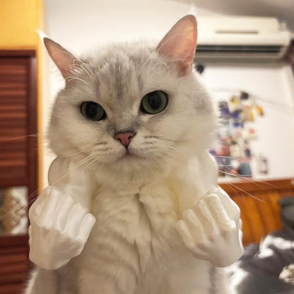 Disfraz de Brazos Musculosos para Gatos