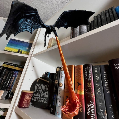 🔥Dragon Flame Book Nook🐉