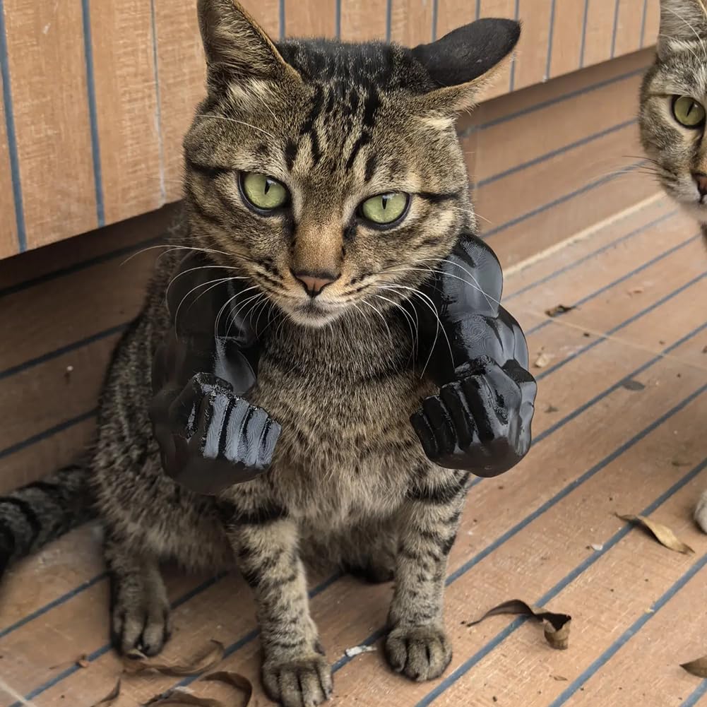 Disfraz de Brazos Musculosos para Gatos