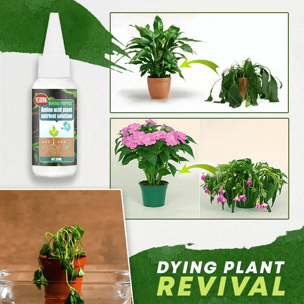 🌿 Plant Food Supplement for Greener Leaves, Blooms & Garden Care
