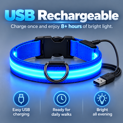 ✨Rechargeable LED Dog Harness & Collar🐕‍🦺Light-Up Night Walking Gear