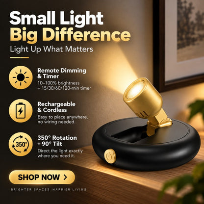 Wireless Rechargeable Art Spotlight