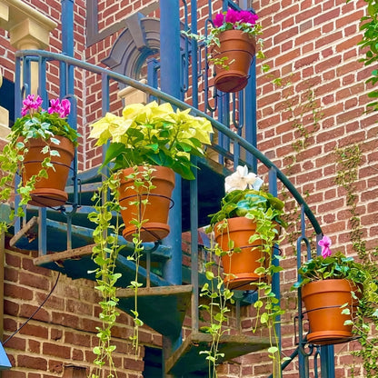 Floating Railing Hanging Pot Holder