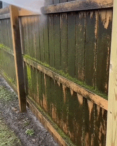 💦Potente Lavadora a Presión para Coche y Hogar y Pulverizador de Jardín