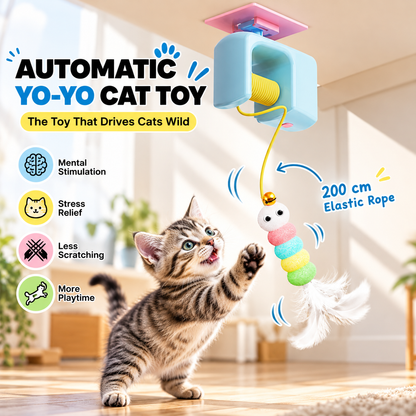 THE AUTOMATIC YO-YO TOY THAT DRIVES CATS WILD