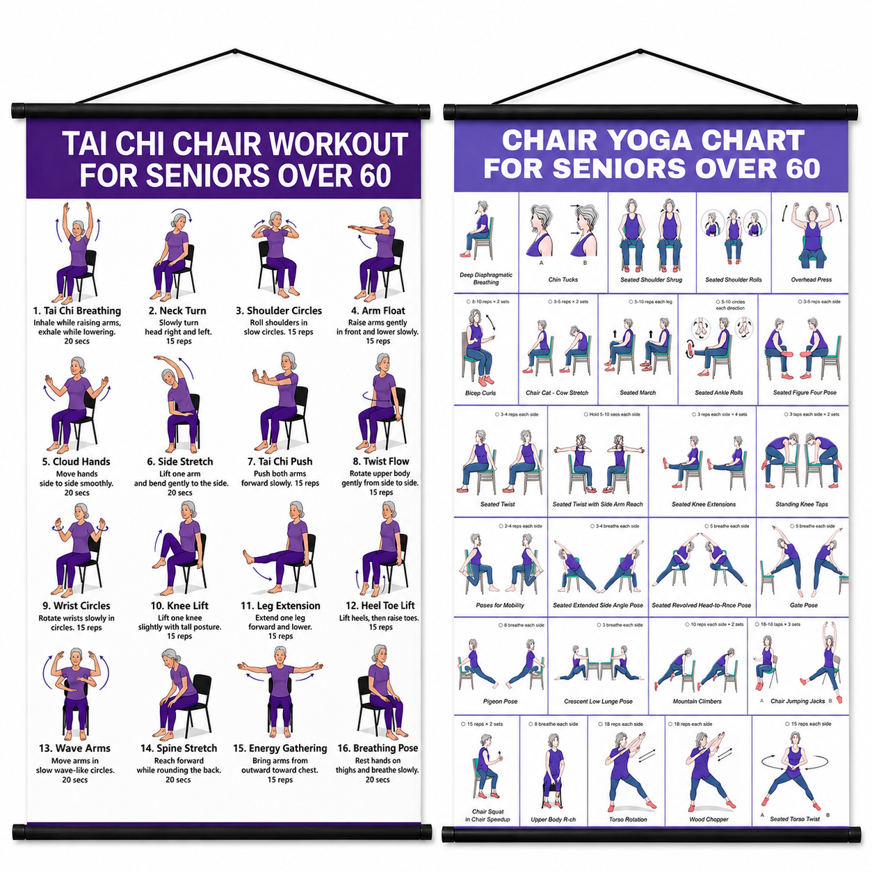 🔥Tai Chi Chair Workout Chart for Seniors (16 x 24 inches)