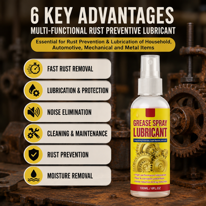 Anti-Rust Lubricant Spray & Rust Remover