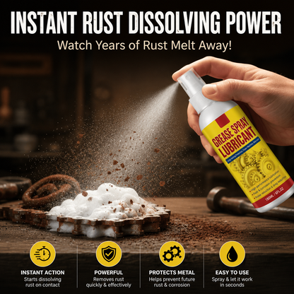 Anti-Rust Lubricant Spray & Rust Remover