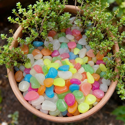 Colorful Glow in the Dark Garden Stones – Luminous Pebbles for Garden, Aquarium & Outdoor Decor