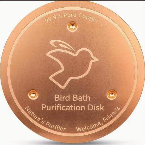 Bird Bath Disk