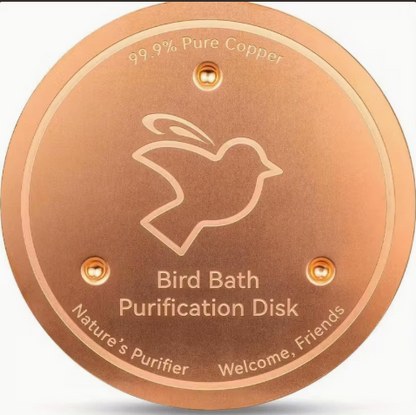 Bird Bath Disk