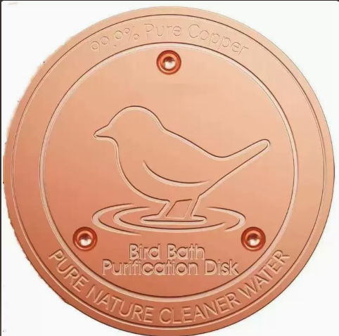 Bird Bath Disk