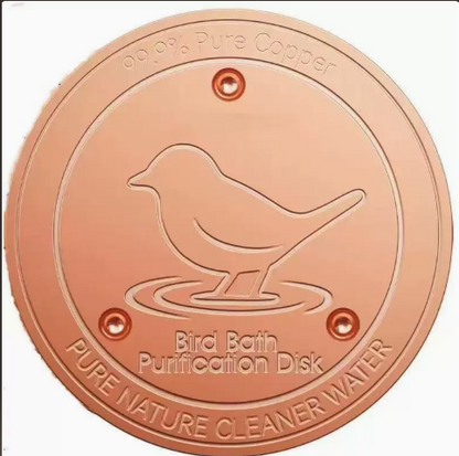 Bird Bath Disk