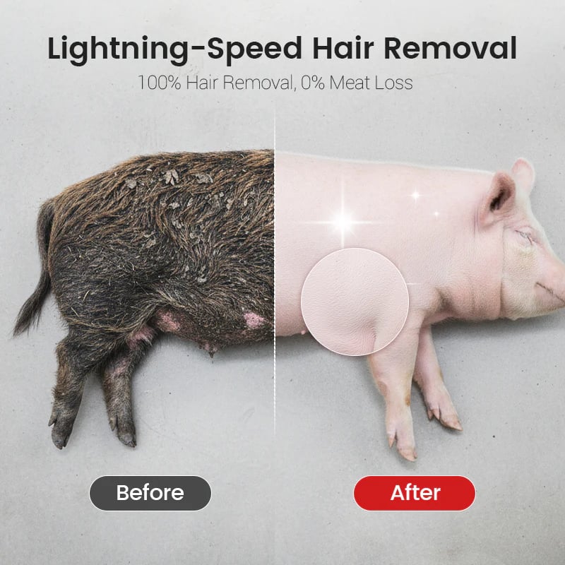 Labor-Saving Pig Hair Remover Scraper Disc