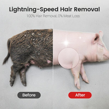Labor-Saving Pig Hair Remover Scraper Disc
