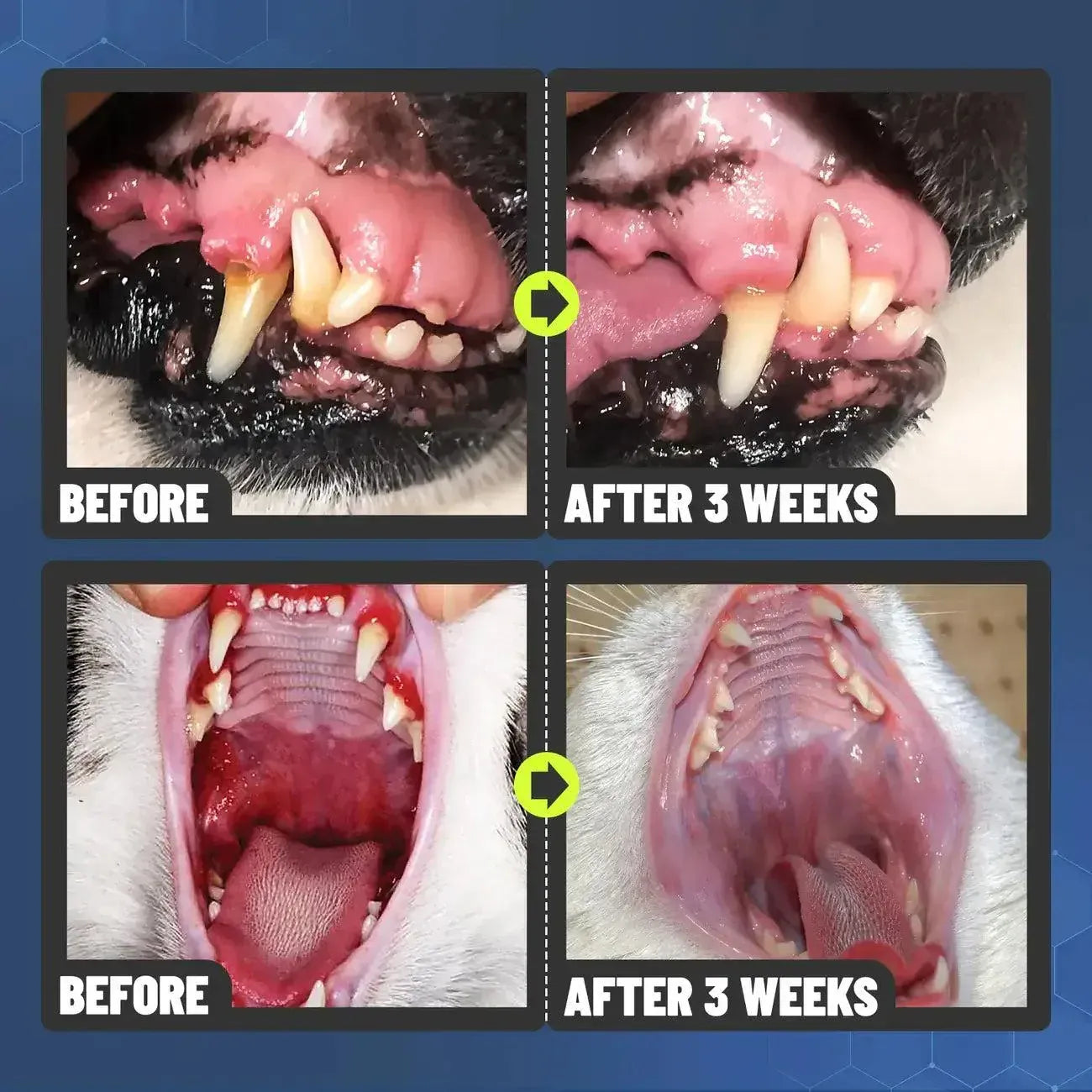 Dental Spray - Stop Bad Breath & Tartar at the Source