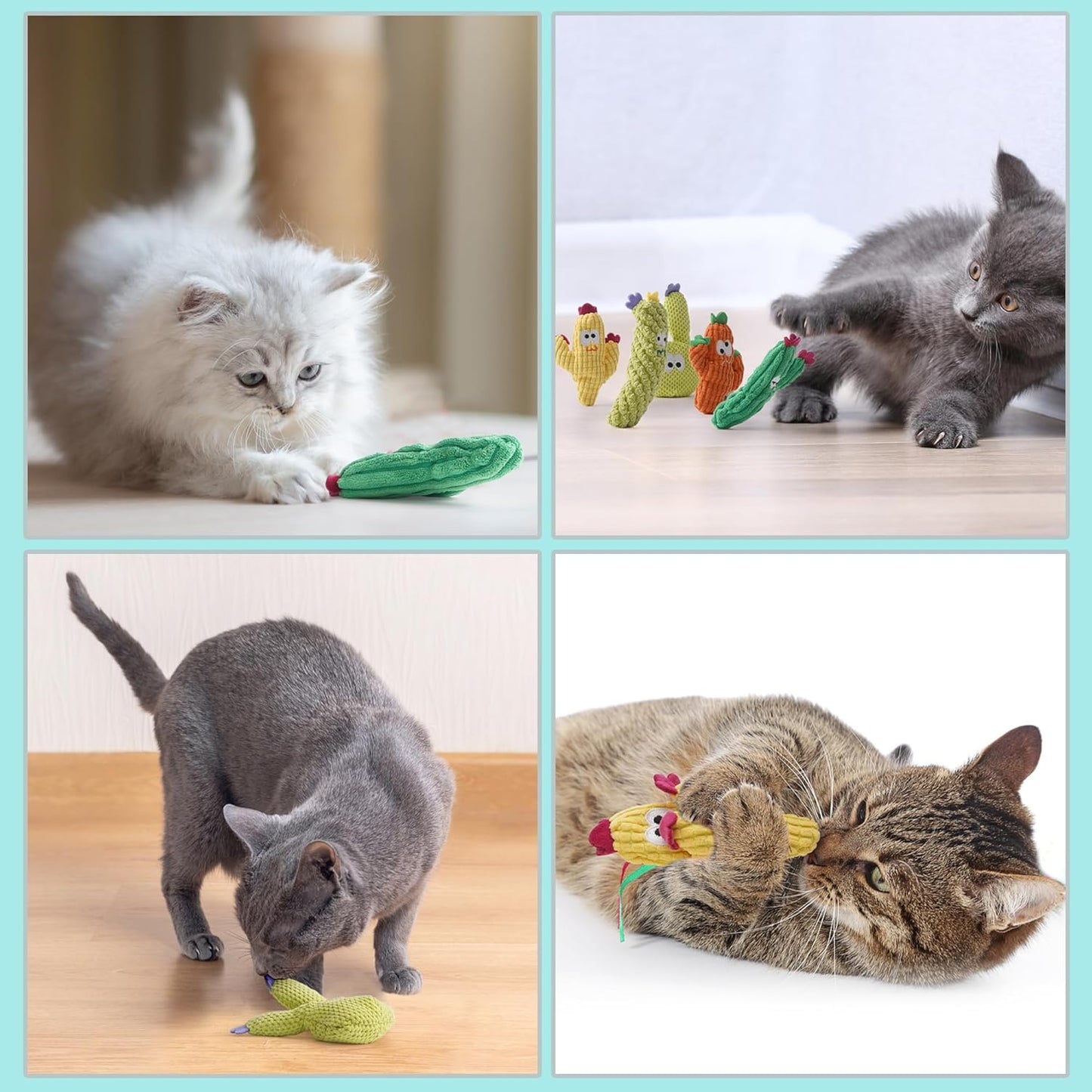 5-Pack Cactus Catnip Cat Toys – Organic Interactive Plush Toys for Indoor Cats