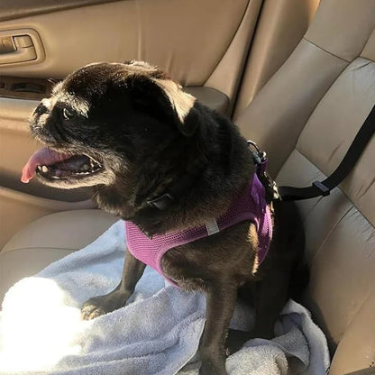 2-in-1 Dog Car Seat Belt & Walking Leash