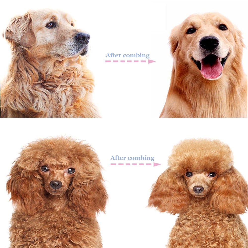 ⏰🔥 Professional Pet Shedding Comb – Effectively Removes Loose Hair 🐾✅